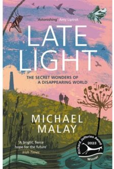 Late Light - Michael Malay