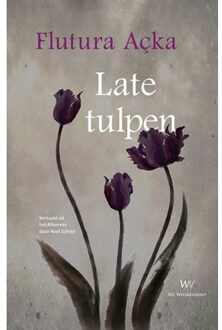 Late Tulpen - Flutura Açka