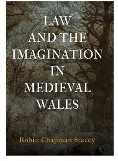 Law and the Imagination in Medieval Wales