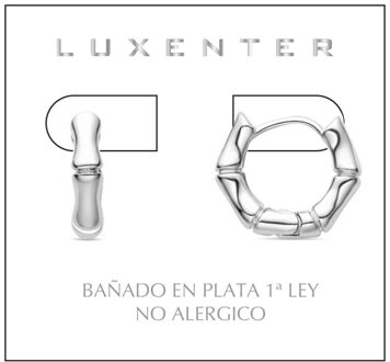 Layen Oorbellen met Rhodium Plated Briljant Zirkonia Zilver