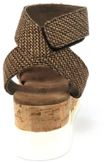 Lazamani 75.812 Bruin - 41