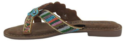 Lazamani La75001 Veelkleurig - 40