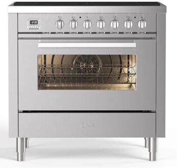 LBI095WSCM3/SS Roestvrijstaal