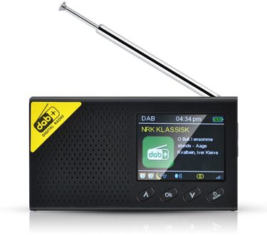 Lcd-scherm Bluetooth 5.0 Digitale Radio Stereo Dab Fm Audio Receiver Player