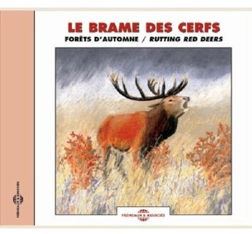 Le Brame Des Cerfs - Rutting Red Deers - Sons De La Nature