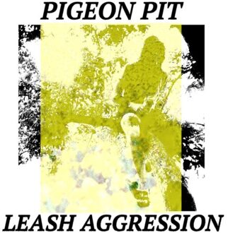 Leash Aggression - Pigeon Pit