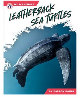 Leatherback Sea Turtles - Wild Animals Set 2 - Dalton Rains