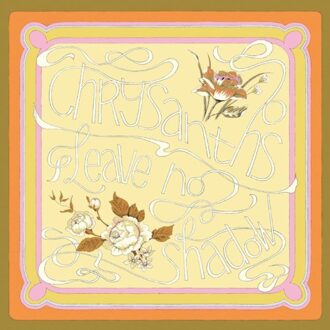 Leave No Shadow - Chrysanths