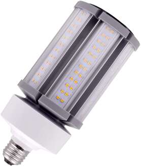 | LED Buislamp | Grote fitting E27  | 36W