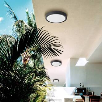 LED buiten plafondlamp Anabella, donkergrijs donkergrijs, wit