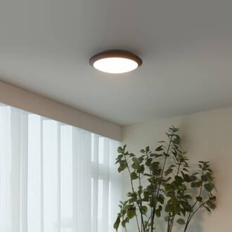LED buiten plafondlamp Naira, grijs, m. sensor donkergrijs (RAL 7024, wit