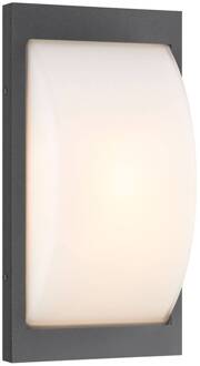 LED buiten wandlamp 068LED, grafiet, roestvrij staal, 33 cm, IP44 grafiet, opaal