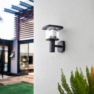 LED buiten wandlamp Askan, 24 cm, roestvrij staal, IP44 zwart, helder