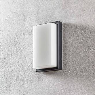 LED buiten wandlamp Babett, roestvrij staal, glas, sensor grafiet, opaal