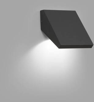 LED buiten wandlamp Guiza antraciet