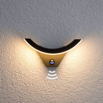 LED buiten wandlamp Half, sensor, antraciet, IP54 antraciet, wit