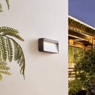 LED buiten wandlamp Tiburia, zwart, aluminium