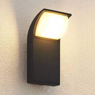 LED buiten wandlamp Tinna, 20 cm, antraciet, IP65 antraciet, wit
