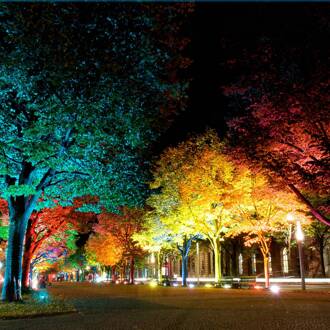 LED buitenspot Flores XL, IP44, CCT, RGB zwart