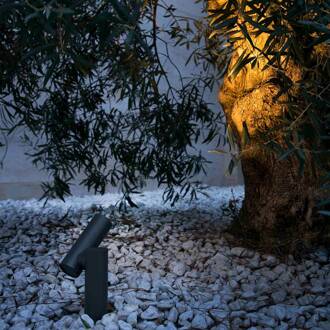 LED buitenspot Spy-1, 14,5 cm donkergrijs, helder