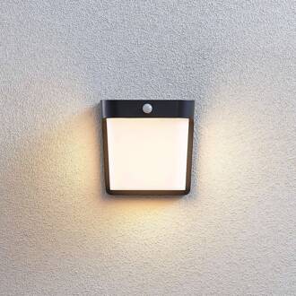 LED buitenwandlamp Adenike met sensor donkergrijs (RAL 7024, wit