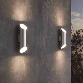 LED-buitenwandlamp Agolada 2x3,7 W zilverkleurig