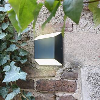 LED buitenwandlamp Flyod up-/downlight antraciet