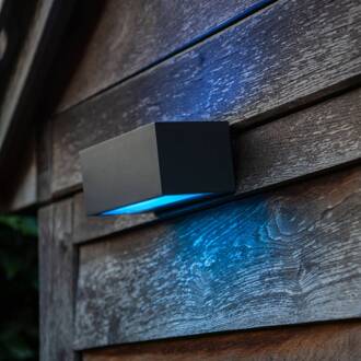 LED buitenwandlamp Gemini RGBW smart bestuurbaar antraciet, gesatineerd
