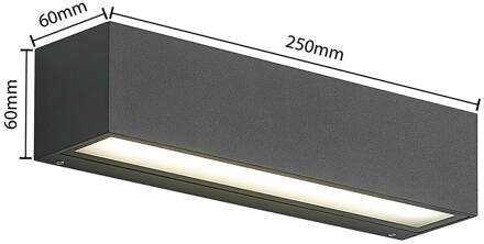 LED buitenwandlamp Lengo, CCT, 25 cm, 2-lamps, grafiet