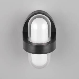 LED buitenwandlamp Limeira, rond mat zwart, transparant, wit