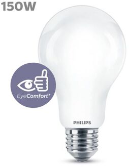 LED Bulb Equivalent 150W E27 Koud wit Niet dimbaar, glas