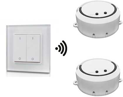 LED dimmer draadloos 2x 100 Watt