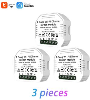 Led Dimmer Module Smart Leven/Tuya App Diy 2 Gang Wifi 2 Way Lichtschakelaar Afstandsbediening Werk met Alexa Google Thuis 3 stukken