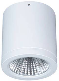 LED downlight opbouw Button Mini 100 IP54 55° 16 W wit