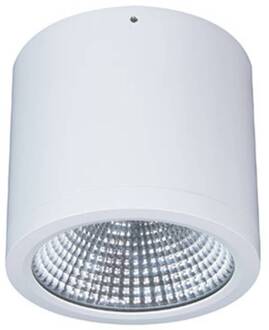 LED downlight opbouw Button Mini 200 IP54 55° 24 W wit