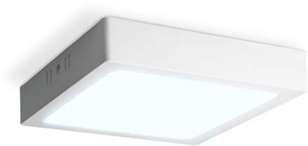 LED downlight - Square surface - 12W - 1160 lm - 6500K daglicht wit - IP20 - opbouw