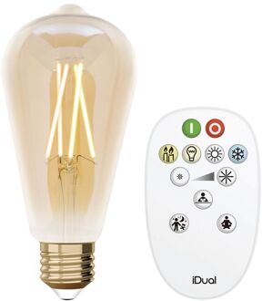 LED Energielabel A+ (A++ - E) E27 Bol 9 W = 60 W Warmwit tot neutraalwit (Ã x l) 125 mm x 175 mm Dimbaar, Filament / Retro-LED, Incl. afstandsbediening 1