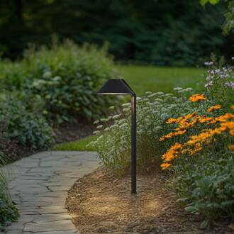 LED grondspies lamp Capelo, zwart, metaal, 77 cm zwart mat, transparant