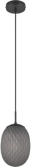 LED Hanglamp - Hangverlichting - Trion Feget - E27 Fitting - 1-lichts - Rond - Mat Zwart - Metaal