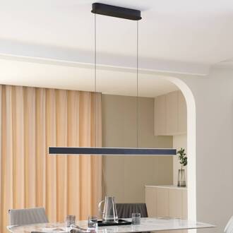 LED hanglamp Philine, lengte 121 cm zwart ijzer zandzwart