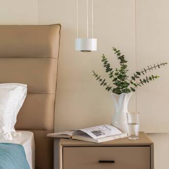 LED hanglamp Rotari, lens, omhoog/omlaag, wit wit (RAL 9003)