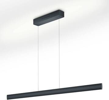 LED hanglamp Runa, zwart, lengte 132 cm mat zwart