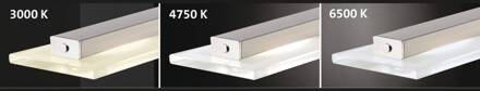LED hanglamp Tenso, nikkel, 64 cm, metaal, CCT, dimmer mat nikkel, chroom