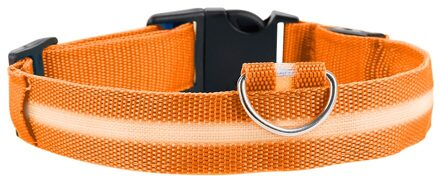 Led Huisdier Halsband Nacht Veiligheid Flashing Glow In The Dark Hondenriem, honden Lichtgevende Fluorescerende Halsbanden Dierbenodigdheden Anti-Verloren oranje