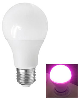 LED Kweek - E27 - 9W - Red4/Blue1