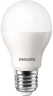 LED Lamp 8W (48W) E27
