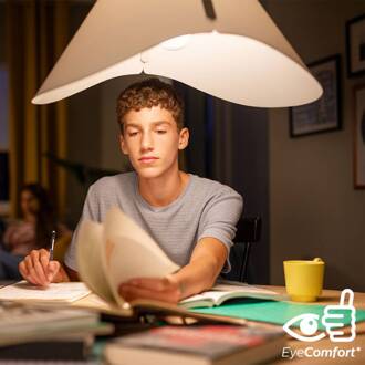 LED Lamp E27 4.3W Peer Wit