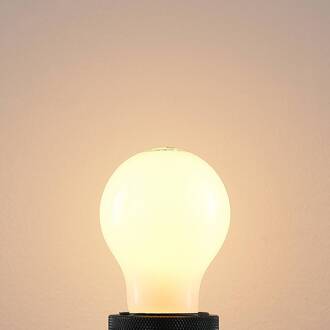 LED lamp E27 6W 2.700K dimbaar opaal 2 per set