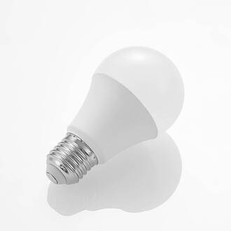 LED lamp E27 A60 9,5W 3.000K opaal, 2 per set