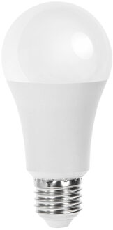 LED Lamp - E27 Fitting - 15W - Helder/Koud Wit 6500K